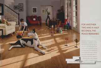 Better Homes & Gardens September 2008 Magazine Article: Page 38