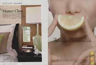 Better Homes & Gardens September 2008 Magazine Article: Page 46