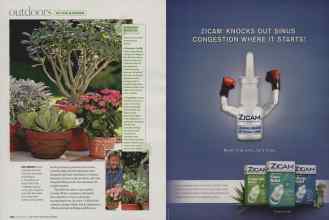 Better Homes & Gardens September 2008 Magazine Article: Page 104