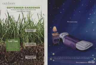 Better Homes & Gardens September 2008 Magazine Article: Page 122