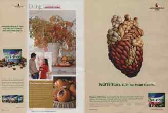 Better Homes & Gardens September 2008 Magazine Article: Page 142