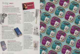 Better Homes & Gardens September 2008 Magazine Article: Page 152