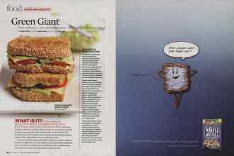 Better Homes & Gardens September 2008 Magazine Article: Page 194