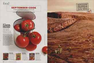 Better Homes & Gardens September 2008 Magazine Article: Page 200