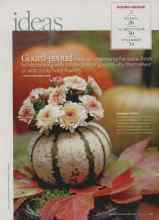 Better Homes & Gardens October 2008 Magazine Article: Gourd-geous!