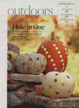 Better Homes & Gardens October 2008 Magazine Article: Hole in One