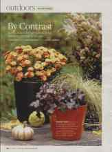 Better Homes & Gardens October 2008 Magazine Article: By Contrast