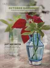 Better Homes & Gardens October 2008 Magazine Article: JUST ADD WATER