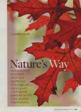 Better Homes & Gardens October 2008 Magazine Article: Color Where It Counts