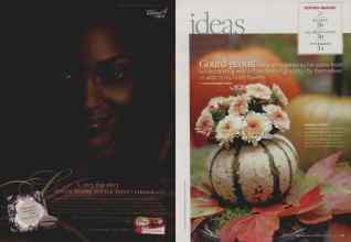 Better Homes & Gardens October 2008 Magazine Article: Page 20