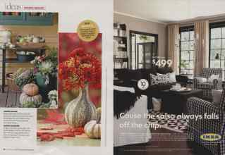 Better Homes & Gardens October 2008 Magazine Article: Page 22