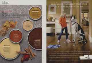 Better Homes & Gardens October 2008 Magazine Article: Page 30