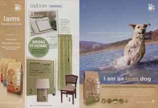 Better Homes & Gardens October 2008 Magazine Article: Page 72