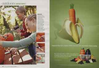 Better Homes & Gardens October 2008 Magazine Article: Page 100