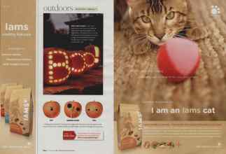 Better Homes & Gardens October 2008 Magazine Article: Page 104