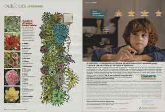 Better Homes & Gardens October 2008 Magazine Article: Page 112