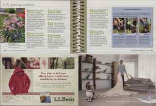 Better Homes & Gardens October 2008 Magazine Article: Page 120