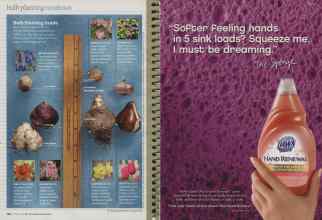 Better Homes & Gardens October 2008 Magazine Article: Page 122