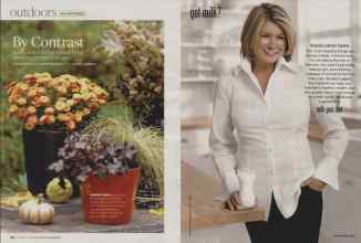 Better Homes & Gardens October 2008 Magazine Article: Page 130