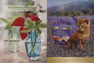 Better Homes & Gardens October 2008 Magazine Article: Page 134