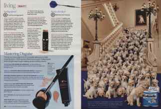 Better Homes & Gardens October 2008 Magazine Article: Page 156