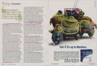 Better Homes & Gardens October 2008 Magazine Article: Page 166