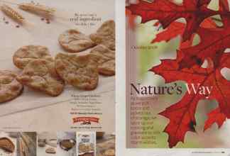 Better Homes & Gardens October 2008 Magazine Article: Page 168