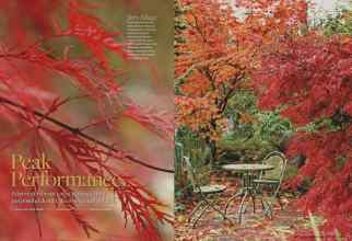 Better Homes & Gardens October 2008 Magazine Article: Peak Performance