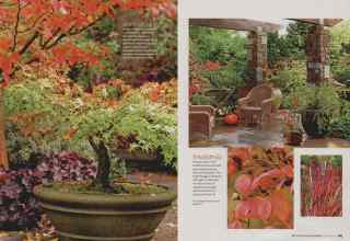 Better Homes & Gardens October 2008 Magazine Article: Page 184