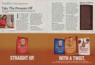 Better Homes & Gardens October 2008 Magazine Article: Page 250