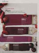 Better Homes & Gardens November 2008 Magazine Article: ALL ABOUT COLOR