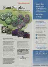 Better Homes & Gardens November 2008 Magazine Article: Plant Purple...