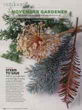 Better Homes & Gardens November 2008 Magazine Article: STEMS TO SAVE