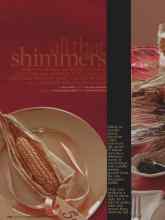 Better Homes & Gardens November 2008 Magazine Article: All that shimmers