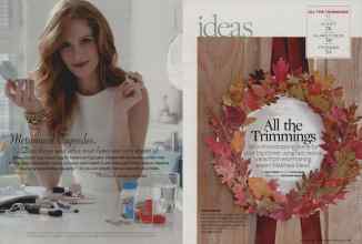 Better Homes & Gardens November 2008 Magazine Article: Page 16