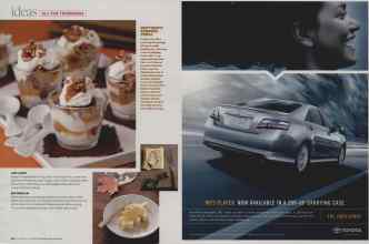 Better Homes & Gardens November 2008 Magazine Article: Page 22