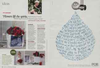 Better Homes & Gardens November 2008 Magazine Article: Page 34