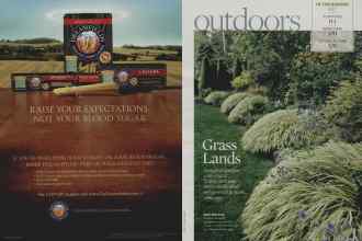 Better Homes & Gardens November 2008 Magazine Article: Page 106