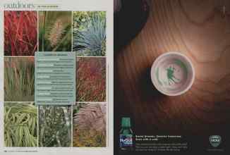 Better Homes & Gardens November 2008 Magazine Article: Page 110