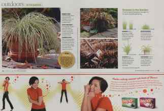 Better Homes & Gardens November 2008 Magazine Article: Page 112