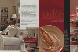 Better Homes & Gardens November 2008 Magazine Article: Page 173