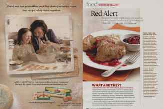 Better Homes & Gardens November 2008 Magazine Article: Page 225