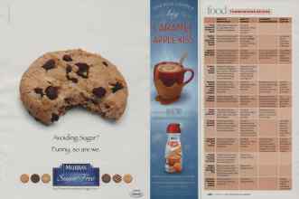 Better Homes & Gardens November 2008 Magazine Article: Page 247