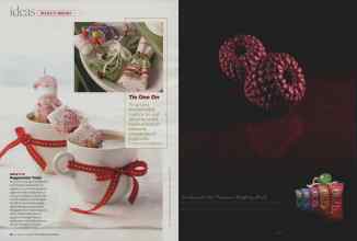 Better Homes & Gardens December 2008 Magazine Article: Page 22