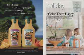 Better Homes & Gardens December 2008 Magazine Article: Page 36