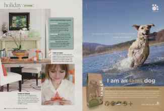 Better Homes & Gardens December 2008 Magazine Article: Page 40