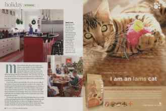 Better Homes & Gardens December 2008 Magazine Article: Page 50