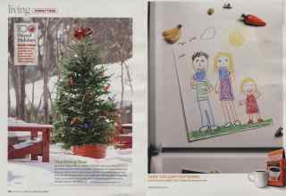 Better Homes & Gardens December 2008 Magazine Article: Page 116