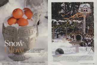 Better Homes & Gardens December 2008 Magazine Article: Snow Glow