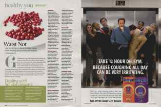 Better Homes & Gardens December 2008 Magazine Article: Page 208